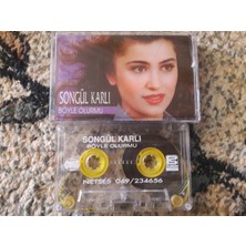 Bozmüzik Songül Karlı Böyle Olurmu Cam Baskı