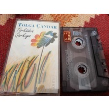 Bozmüzik Tolga Çandar Türküden Şarkıya Cam Baskı