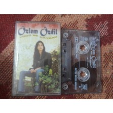 Bozmüzik Özlem Özdil Yürü Be Haydar Cam Baskı