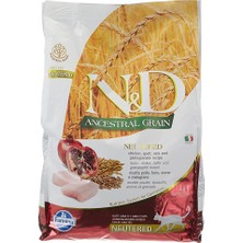 Berlin Shop N&d Ancestral Grain Kedi Maması, Kuru Mama, Tavuk, Kılçıksız Buğday, Yulaf ve Narlı, Kısırlaştırılmış, 5 kg