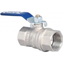 Duyar Pirinç Küresel Vana 2''