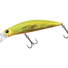 Duo Beach Walker Fulcrum 95 AQA0063 Hirame Gold