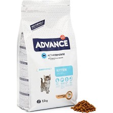 Sinerji Shop Advance Kitten Yavru Tavuk Etli Kedi Maması, 1.5 kg