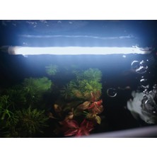 Orion Led Aquaslim Serisi - 60 cm Beyaz Akvaryum LED Lamba - Aydınlatma