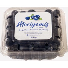 Maviyemiş Tarım Taze Premium Blueberry Yaban Mersini 1000 gr