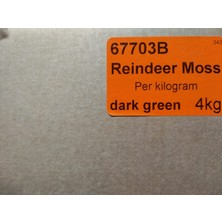 Trend Bahçe Reindeer Moss Dark Green Şoklanmış Norveç Yosunu 4 kg