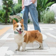 HaiTun 5 M Geri Çekilebilir Tasma Köpek Otomatik Uzatma Naylon Yavru Pet Tasmalar Kurşun Dayanıklı Köpek Yürüyüş Koşu Tasma Halat Pet Malzemeleri | Tasmalar (Yurt Dışından)