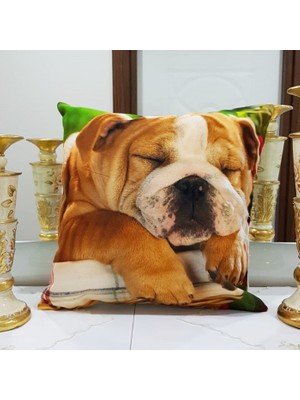 Körfez Kırlent Animal Köpek Baskılı Kırlent Kılıfı 43X43CM