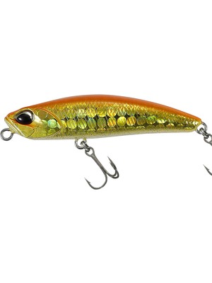 Duo Tetra Works Yurameki AQA0314 Orange Gold Belly