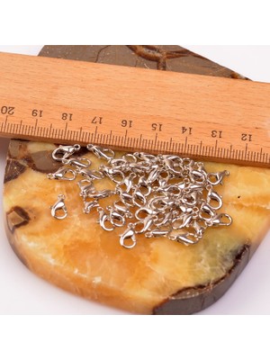 Taş Sandığı 20 Adet Klips ( Papağan )