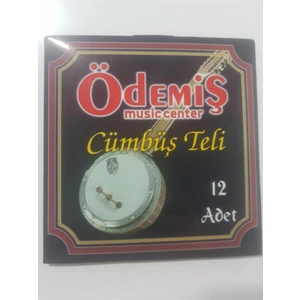 Ödemiş Cümbüş Teli Takımı
