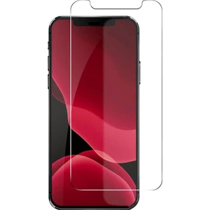 Apple iPhone 12 Pro Max Ekran Koruyucu 9h