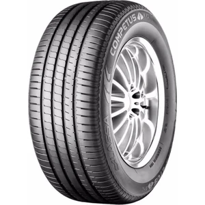 225/55 R19 99V Competus H/P 2 Suv Yaz Lastiği ( Üretim Yılı: 2023 )