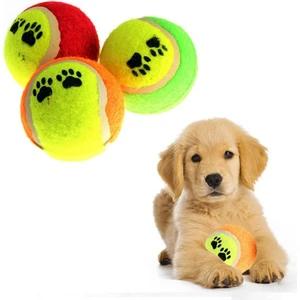 Evcil Hayvan Eğitici Oyun Topu