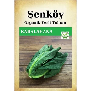 Karadeniz Karalahana Tohumu Doğal Ata Sarmalık Karalahana Tohumu Pakette 10 gr 2000 Adet