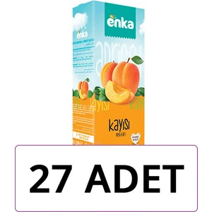 Gurme Kayısı Nektarı 200 ml x 27'li Paket