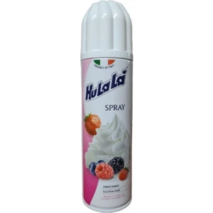 Spray Krem Şanti 250G