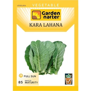 Garden Narter Kara Lahana Tohumu Doğal Organik Tohum Pakette 5 gr Tohum + Sebze Tohum