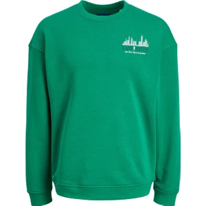 Jack & Jones Erkek Sweatshirt Jorbrink City Sweat Crew Neck 12216048