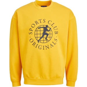 Jack & Jones Erkek Sweatshirt Jorbrink City Sweat Crew Neck 12216048