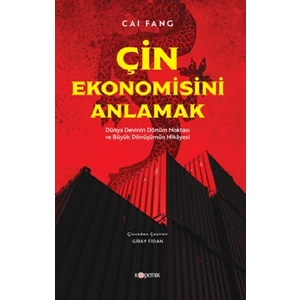 Çin Ekonomisini Anlamak