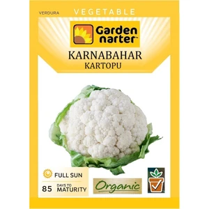 Garden Narter Karnabahar Tohumu Doğal Organik Tohum Pakette 50 Tohum + Sebze Tohum