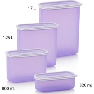 Lila Oval Saklama Kabı Set 4'lü