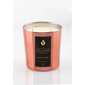 Mois Candle Pumpkın Spıce Meyve ve Baharat Kokulu Çift Fitilli 365 gr Cam Bardak Mum