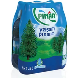 Su 1,5 lt 12'li Paket Su