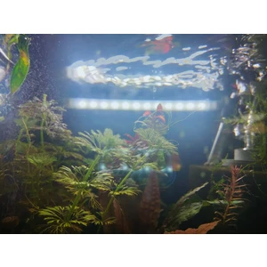 Orion Led Aquaslim Serisi  - 50 cm Beyaz Akvaryum LED Lamba - Aydınlatma