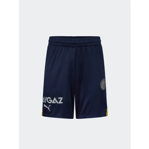 Fenerbahçe Fb 22 Laci-Gri Şort
