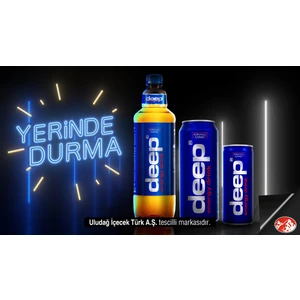 Deep Enerji Kutu 250 ml 12′li Paket