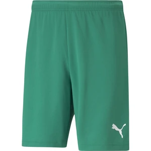 Teamrise Short Erkek Futbol Maç Şortu 70494205 Yeşil