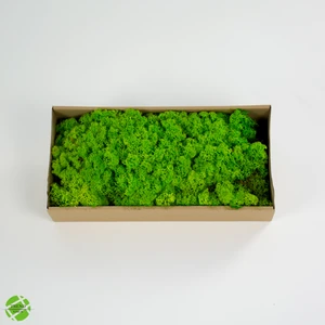Trend Bahçe Reindeer Moss Spring Green Şoklanmış Norveç Yosunu