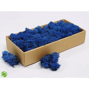 Trend Bahçe Reindeer Moss Mavi Şoklanmış Norveç Yosunu