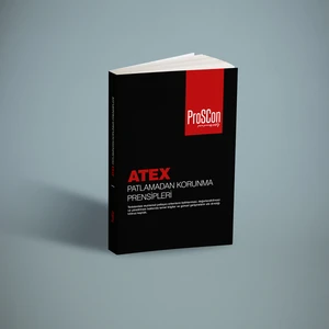 Atex Patlamadan Korunma Prensipleri