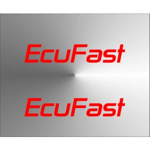 Oto Sticker Orjinal Ecufast Logo Sticker 2 Adet