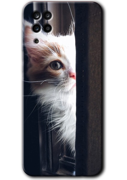 Samsung Galaxy Note 5 Kılıf Hd Desen Baskılı Arka Kapak - Kedi Bakışı