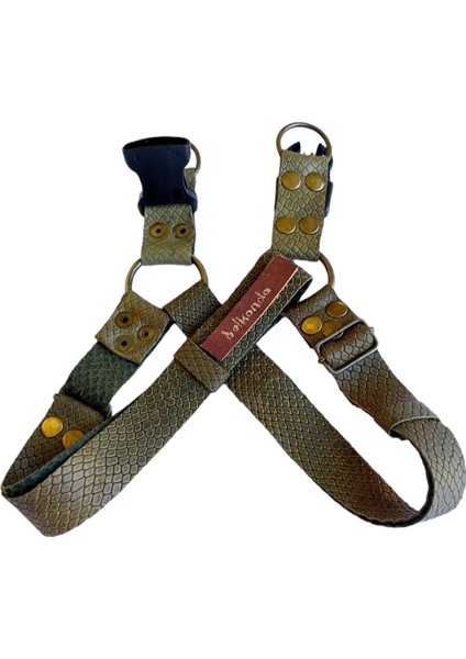 Köpek göğüs tasması küçük ırk hakiki deri kabartmalı genişlik:2,5cm göğüs ölçüsü:40-60cm ayarlamalı dog harness GT1-13