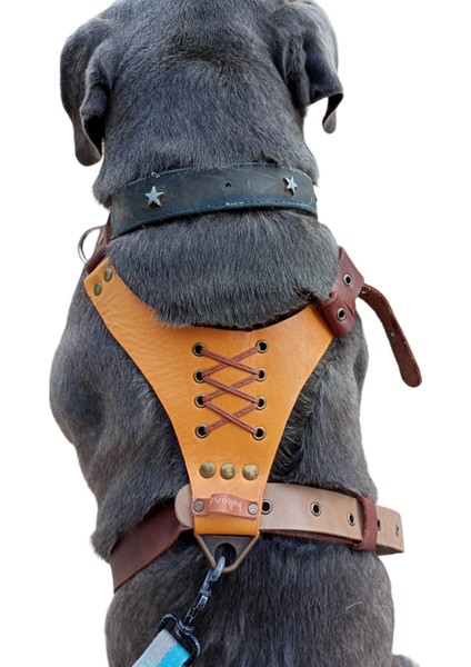 Köpek göğüs tasması hakiki deri orta ve büyük ırk taba/kahverengi kalınlık:3mm boyun ölçüsü:60-80cm göğüs ölçüsü:70-105cm ayarlamalı dog harness GT1-6