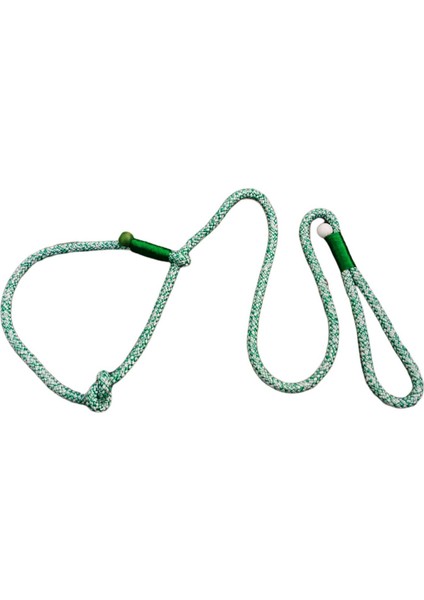Köpek gezdirme kayışı boyun tasmalı takım halat yeşil beyaz uzunluk:120cm kalınlık:10mm dog leash TB2-6