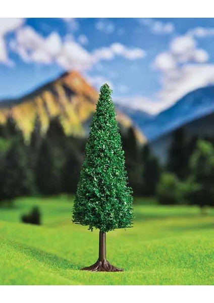 Konik Çam 12 cm 2 Adet