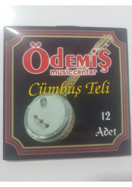 Ödemiş Cümbüş Teli Takımı