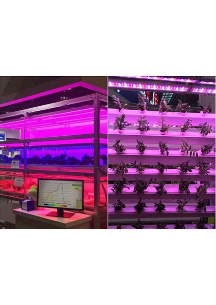 LED Işık, Sera Iç Mekan Bitkileri 30W Lamba Çiçeği (Abd Fişi) (Yurt Dışından)