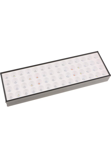 LED Işık, Sera Iç Mekan Bitkileri 30W Lamba Çiçeği (Abd Fişi) (Yurt Dışından)