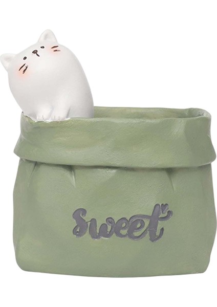 Sak Saksı Etli Ekici Sevimli Sanat Dekoru Ofis Masaüstü Kaktüs Kedi Yeşili Hayvan (Yurt Dışından)