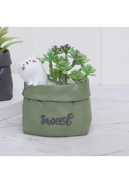 Sak Saksı Etli Ekici Sevimli Sanat Dekoru Ofis Masaüstü Kaktüs Kedi Yeşili Hayvan (Yurt Dışından) modelleri