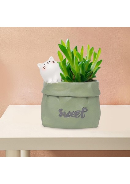 Sak Saksı Etli Ekici Sevimli Sanat Dekoru Ofis Masaüstü Kaktüs Kedi Yeşili Hayvan (Yurt Dışından) fırsatları