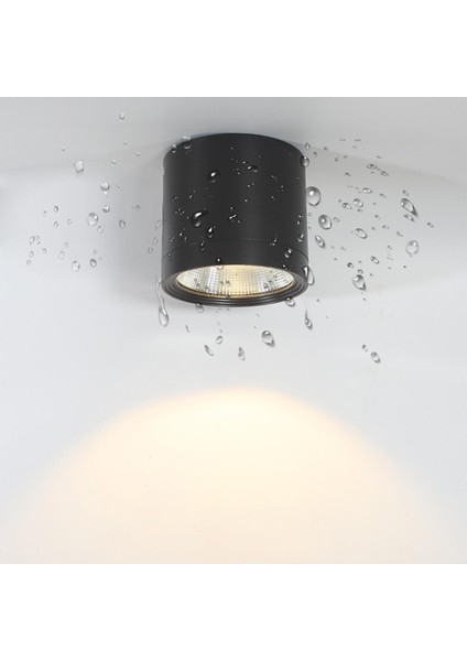Su Geçirmez Spotlar Balkon Yatak Odası Nötr Işık Anti Pırıltılı LED Tavan Işık (Yurt Dışından)