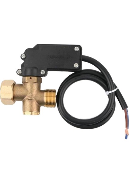 55/58 Mod 220V Otomatik Su Basıncı Algılama Anahtarı Taşınabilir (Yurt Dışından)